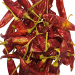 Manikat(Teja Chilli)