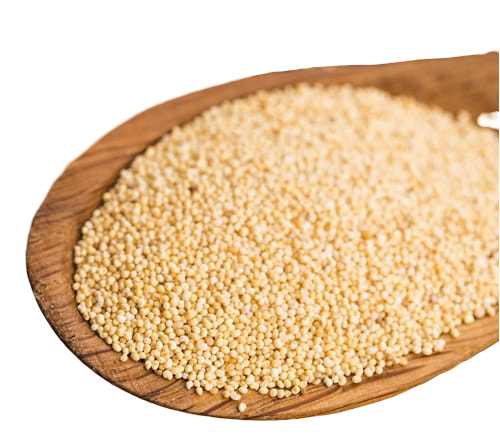 Poppy-Seeds-Khaskas.png