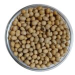 Soya Seeds