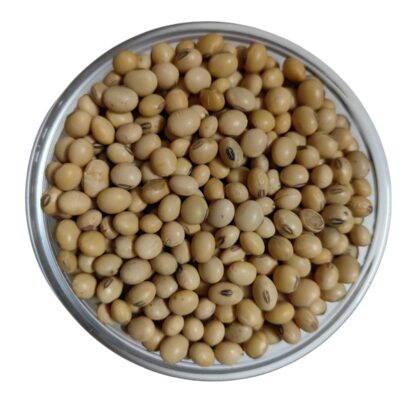 Soya Seeds